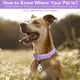 thumbnail image 4 of Collar de perro duradero, correas recubiertas de goma suave, impermeable y fácil de limpiar., 4 of 5