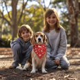 thumbnail image 3 of Dog Bandana 1 Pack,Red Christmas Reindeer and Snowflake Pattern Bandanas for Dogs,Cat Bandana,Small/ Large Dog Bandana 2 Size,Dog Bandanas Girl Boy, 3 of 6