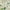 Green/Ivory, variant on SAFAVIEH Madison Seanan Abstract Area Rug, Ivory/Grey, 5'3" x 7'6"