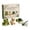 A002- Style B, variant on QI Town 3D Beaded Animal Diy Kit | 3D Beaded Animals Craft Set | Packaging | Cute Garden Bugs Diy Beaded Animal Kit for Adults Beginner Crafting | 4 Pack Bead Animal