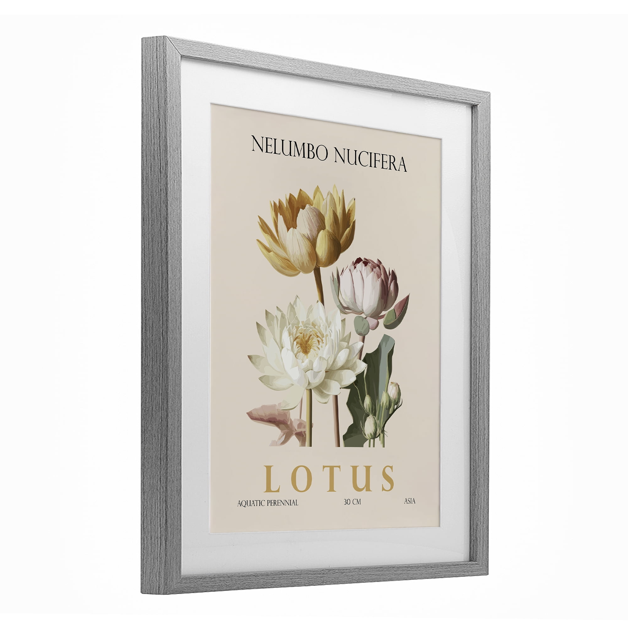 Stupell Industries Natural Lotus Bundle Gray Framed Print Under Glass, design by Christopher Giampietro