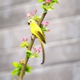 thumbnail image 3 of AMERTEER 2Pcs Foam Feather Artificial Parrot Imitation Bird Model Home Ornament (Green), 3 of 8