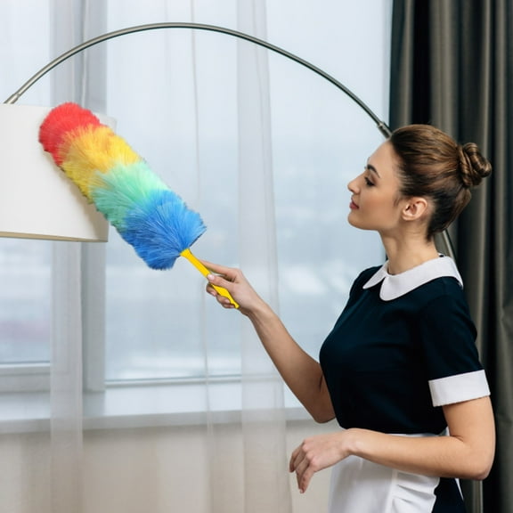 Rainbow Static Duster, Heavy Duty Reusable Microfiber Electrostatic Dusters for Cleaning Home, Office, Car (Rainbow Color/1 Pack) 23.22 Inches
