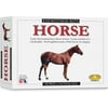 Eyewitness Kits Perfect Cast Horses Cast, Paint, Display and Learn Craft Kit