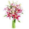 Image thumbnail_image