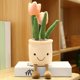 thumbnail image 5 of 2 Piezas as Plantas de Felpa de Dibujos Animados de Peluche Decoración de La Encimera Del Tablero de Instrumentos Sunnimix juguetes de peluche, 5 of 8