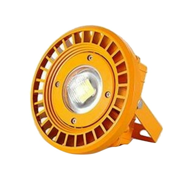 Reflector de seguridad comercial Reflector LED de 30 W Lampscape Blanco frío Zulema Luz de inundación al aire libre del LED
