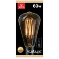 thumbnail image 1 of 60W Vintage Edison S-Type Clear Glass Incandescent Light Bulb, E26 Base, 220 Lumens, 1 of 2