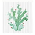 thumbnail image 2 of Ambesonne Cactus Shower Curtain, Botanical Desert Motif Art, 69"Wx70"L, Jade Green and Dark Coral, 2 of 4