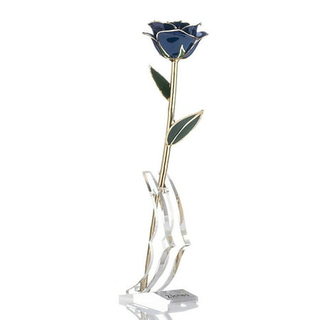 Long Stem Dipped 24k Gold Rose in Gift Box with Clear Display Stand Best Gift for Mothers/Valentine/Anniversary/Birthday/Thanksgiving's Gift, Stand for Forever (Best Deep Red Climbing Rose)