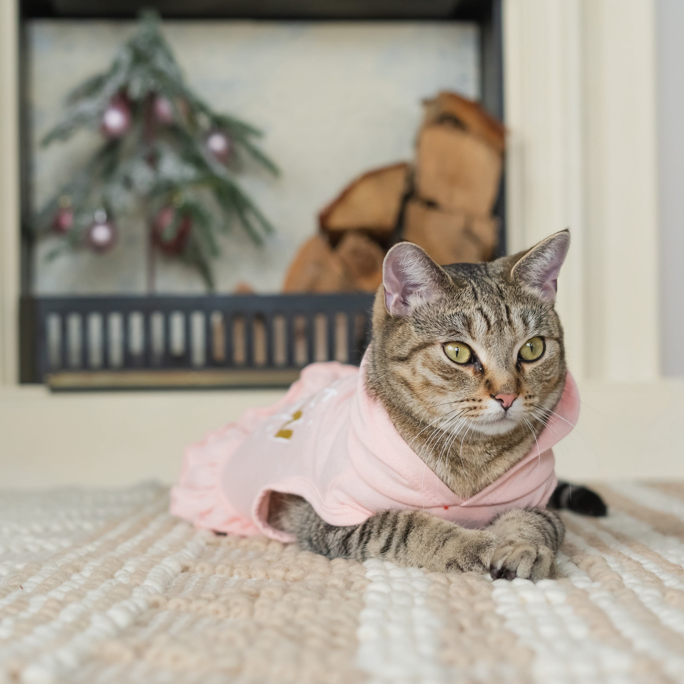 Vibrant Life, Dog and Cat Clothes, Little Snow Angel Pet Hoodie, Pink, XS