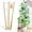 Fan-Shaped, variant on SILKBUT 10 Pack Bamboo Trellis for Climbing Plants, 4 FT Garden Ladder Trellis for Potted Plants Indoor, Fan-Shaped Small Plant Support Trellis for Houseplants Ivy Hoya Vine Monstera