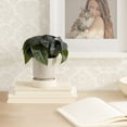 thumbnail image 2 of DesignOvation 7"H Artificial Variegated Leaf Plant in Two-tone Ceramic Pot, 2 of 8