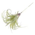 thumbnail image 4 of unbranded 1Ud Artificial Para En Oficina Hogar Y Eventos, 4 of 7