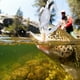 thumbnail image 1 of Señuelo de pesca Jadeshay 2 piezas de señuelos blandos de silicona para peces, 1 of 9