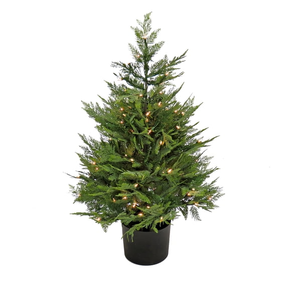 3 ft. Pre-Lit Cypress Tree in Nursery Pot