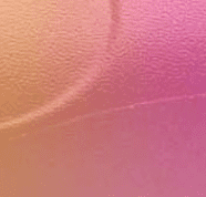 Tropical Ombre