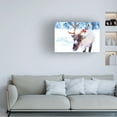 thumbnail image 3 of Porter Hastings 'Mike Snow Angel Artist' Canvas Art, 3 of 3