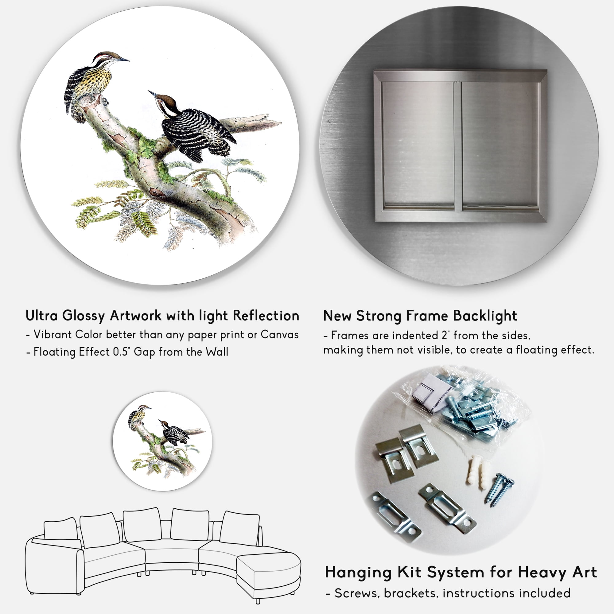 Designart 'Ancient Birds In The Wild VIII' Traditional Circle Metal Wall Art 11x11 - Disc of 11