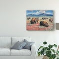 thumbnail image 3 of Trademark Fine Art 'Home on the Range' Canvas Art by Jack Sorenson, 3 of 4