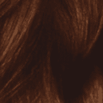 4R Dark Auburn