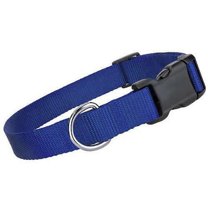 Dog Pet Adjustable Nylon Collar Small Medium Large XL With Buckle Puppy