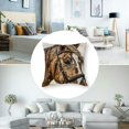 thumbnail image 5 of nygtbtfer Throw Pillow Cushion Case Cover Invisible Zipper Home Decor for Couch Sofa No Pillow Insert White, 5 of 7