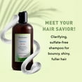 thumbnail image 3 of Just Nutritive Hydrating & Clarifying Shampoo for Oily Hair, Tea Tree Cleanser, Sulfate-Free, 16 oz, 3 of 9