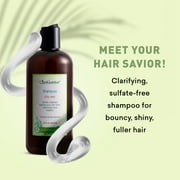 Just Nutritive Hydrating & Clarifying Shampoo for Oily Hair, Tea Tree Cleanser, Sulfate-Free, 16 oz