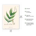 thumbnail image 2 of Ouricana Palm Tree Leaf (Geonoma Pauciflora) - Vintage Botanical Illustration by Carl Friedrich Philipp von Martius c.1820s - Master Art Print (Unframed) 13in x 19in, 2 of 4