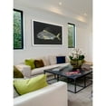 thumbnail image 4 of Marmont Hill "Roosterfish" by Warren Sellers Framed Painting Print, 4 of 5