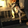 thumbnail image 3 of tredstone Dog Lifting Support Harness Auxiliary Belt Dog Sling for Back Legs Portable XL, 3 of 9