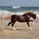 thumbnail image 3 of Figura de caballo Breyer Horses Surfer's Riptide Chincoteague Pony, 3 of 5