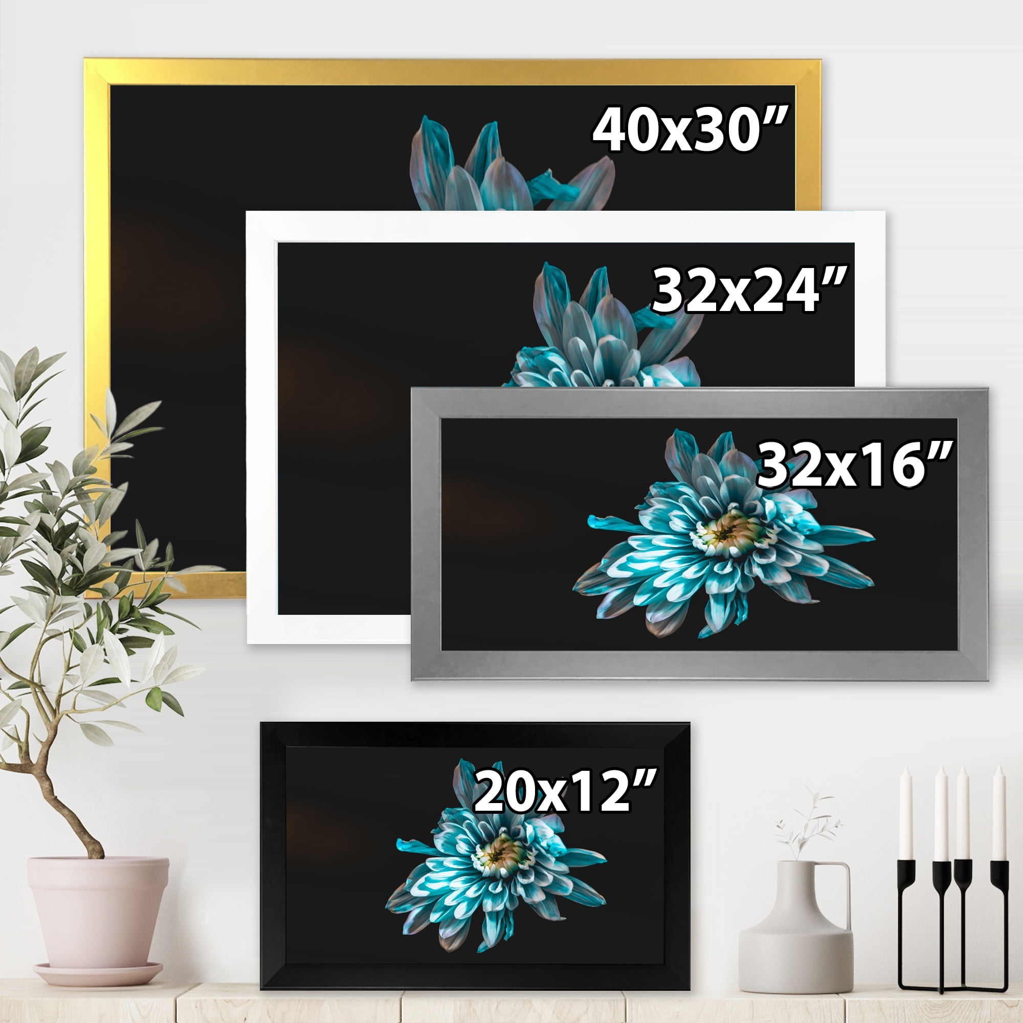 Designart 'Top View of White and Blue Flower' Traditional Framed Art Print