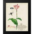 thumbnail image 2 of Vision Studio 12x14 Black Modern Framed Museum Art Print Titled - Canna and Dragonflies II, 2 of 5