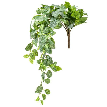 33" Green Fittonia Bush UV