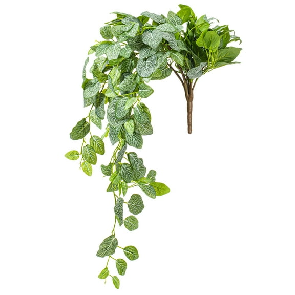 33" Green Fittonia Bush UV