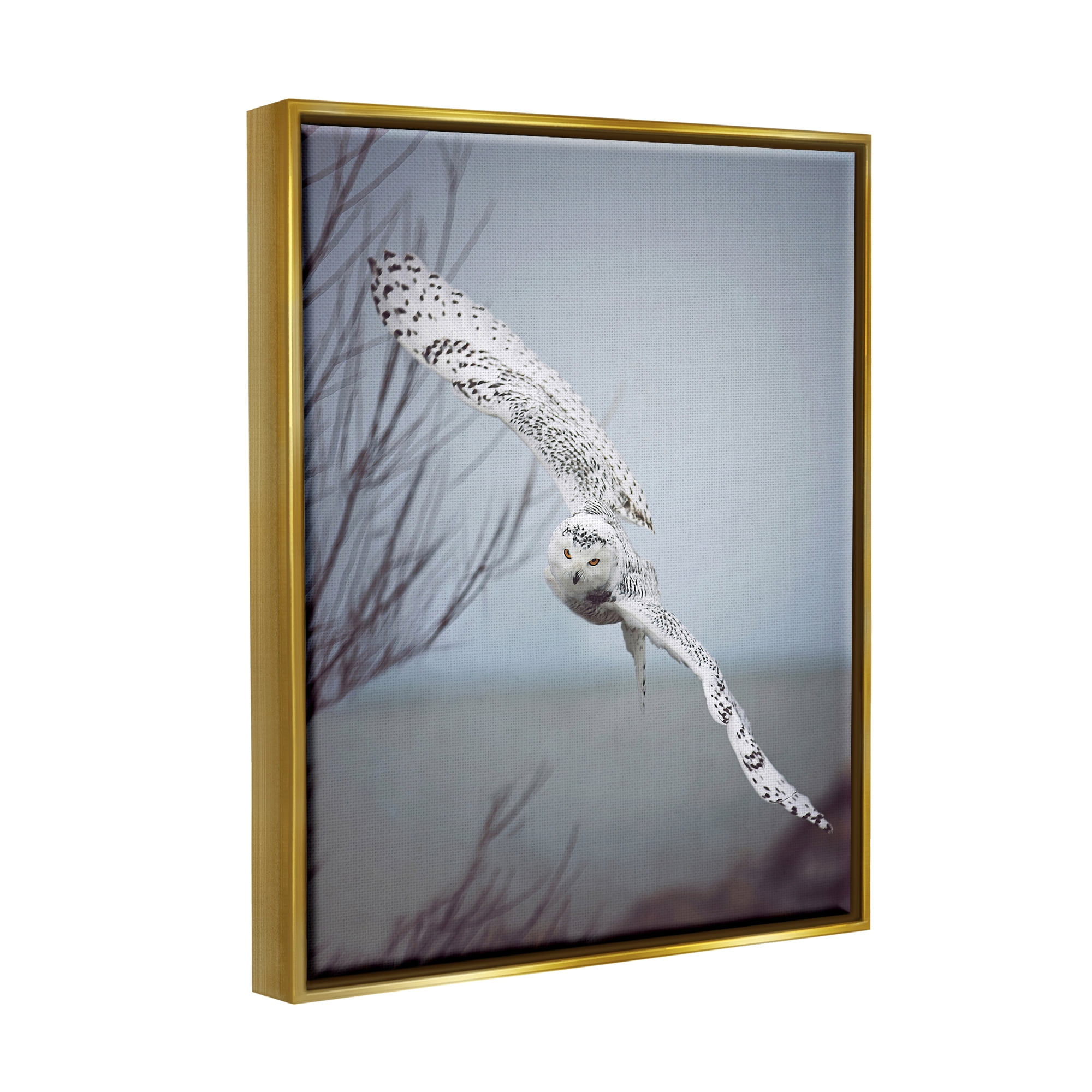 Stupell Industries Majestic Snowy Owl Flying Wingspan Wildlife Photography Photograph Metallic Gold Floating Framed Canvas Print Wall Art, Design by Carrie Ann Grippo-Pike