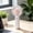 249#White, variant on Large Air Volume Portable Handheld Fan, upgraded stable wind performance, easy carry slim structure, practical USB rechargeable small fan for outdoor activity indoor leisure summer cooling