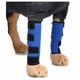 thumbnail image 1 of Rodilleras para mascotas con bandas de soporte, protectores de piernas para perros, protector de piernas para perros, cubierta para heridas de mascotas para cirugía de perros (azul L) oso de fresa Electrónica, 1 of 5