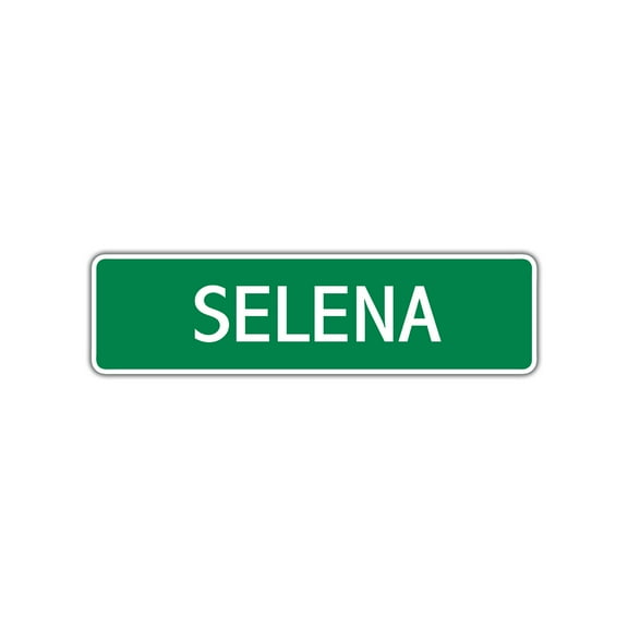 Selena Girls Children Indoor Outdoor Name Letter Printed Label Wall Plaque Decoration Aluminum Metal Sign 4"x13.5"