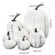 thumbnail image 3 of Calabaza artificial BuyWeek 7 piezas naranja blanco, 3 of 8