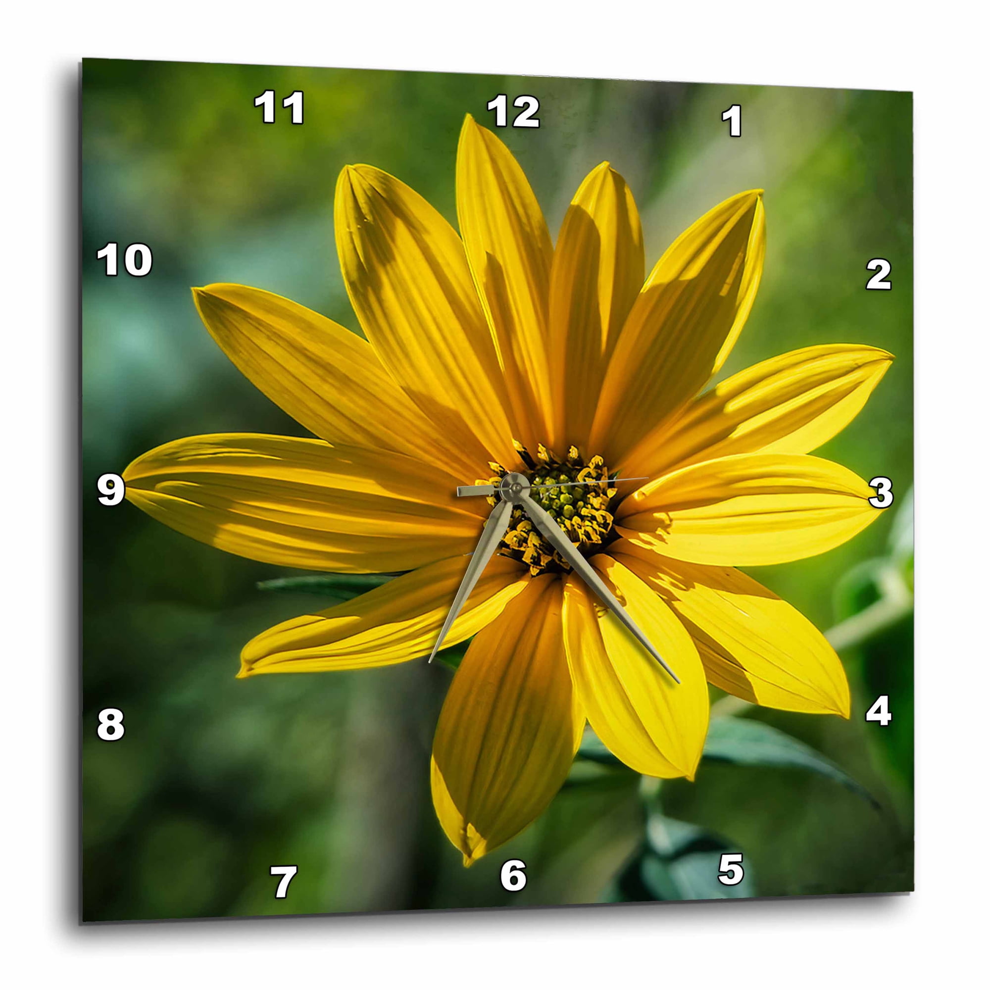 3drose, Jerusalem Artichoke Sunflower, 10x10 Wall Clock