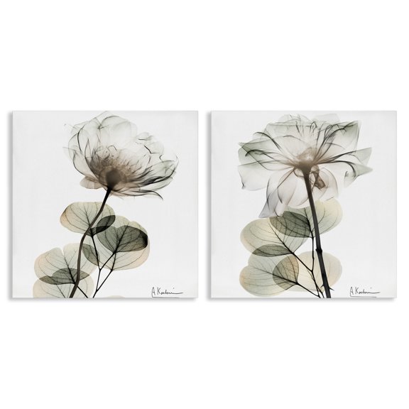 Stupell Industries Modern Cream Transparent Floral 2pc Canvas Art Set, 17 x 17 each, by Albert Koetsier