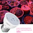 thumbnail image 4 of Inteprter Phyto Led B22 luz de crecimiento hidropónico E27 bombilla Led de cultivo MR16 espectro completo 220V lámpara planta E14 flor plántula Iluminación y accesorios No.03 Inteprter HA004249-03, 4 of 6