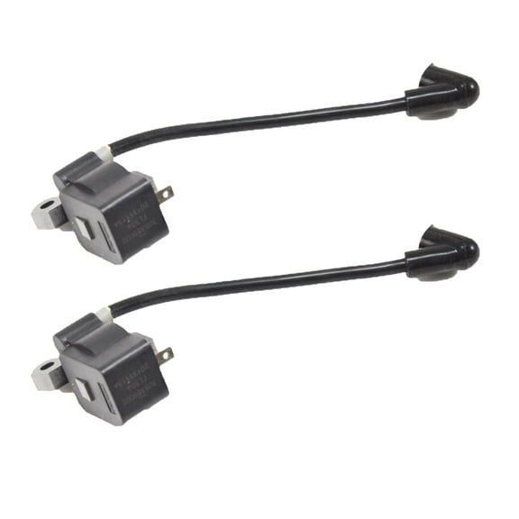 Ryobi P100