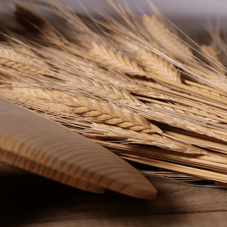 Organic Einkorn Cracked Wheat Cereal - 2lbs