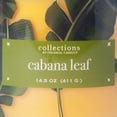 thumbnail image 4 of Colonial Candle Cabana Leaf 14.5oz 3 Wick Candle, Multicolor, 4 of 6
