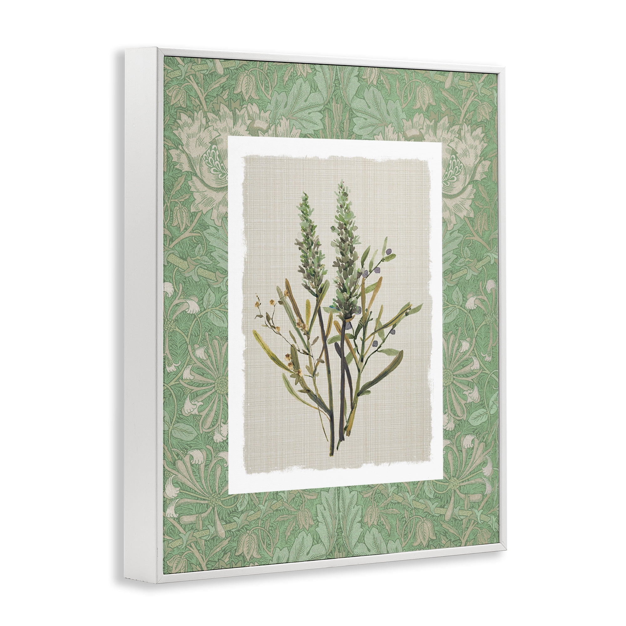 Stupell Industries Antique Foliage in Green White Framed Giclee Art, design by Carol Robinson