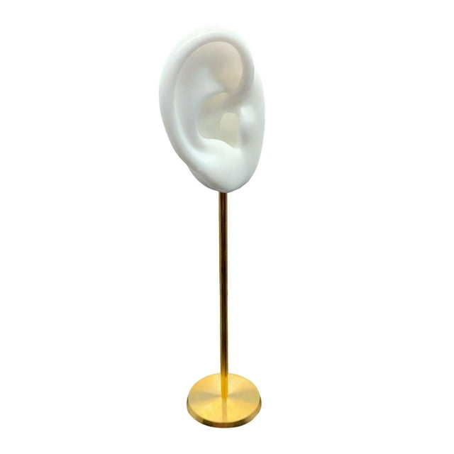 Soporte de perno Zulema Estantes de exhibición de pendientes duraderos Accesorios de fotografía Blanco Derecha